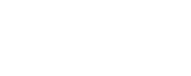 Velox eBikes